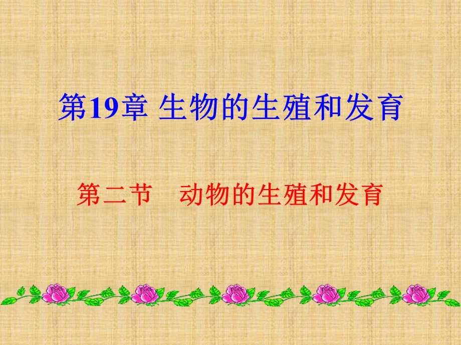 动物的生殖和发育(标准).ppt_第1页