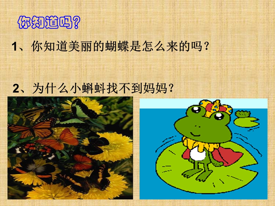 动物的生殖和发育(标准).ppt_第2页