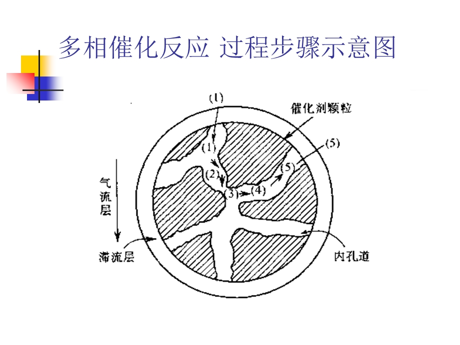 多相催化反应基础.ppt_第2页