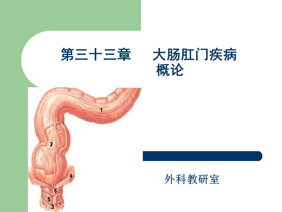 大肠肛门疾病概论.ppt_第1页