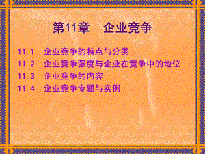 公司经济学第11章企业竞争.ppt