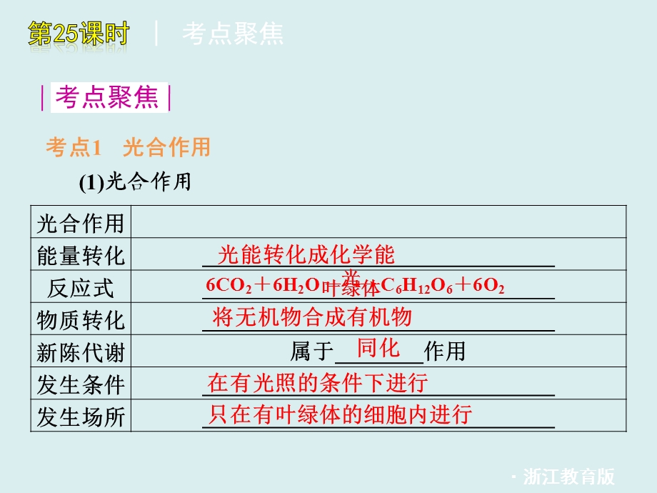 第25课时光合作用和呼吸作用.ppt_第3页