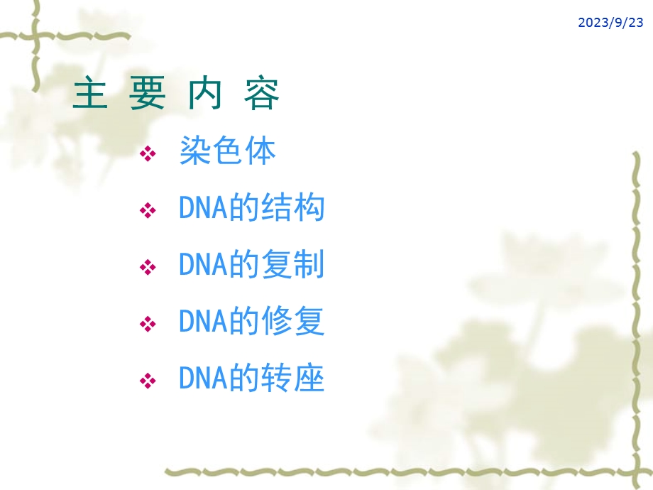 分子生物学第二章DNA结构与功能.ppt_第2页