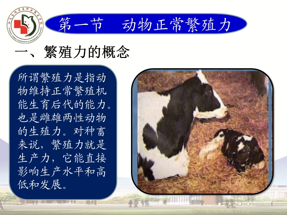 第十一章动物繁殖力.ppt_第3页