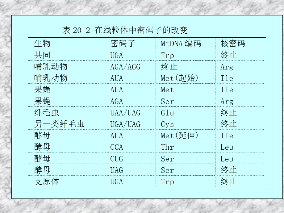 分子遗传学20核外遗传.ppt_第3页