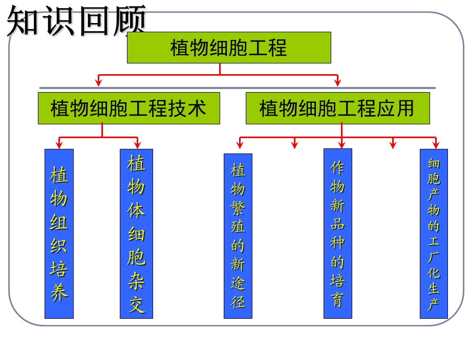 动物细胞培养(2018.3.26).ppt_第1页