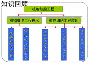 动物细胞培养(2018.3.26).ppt