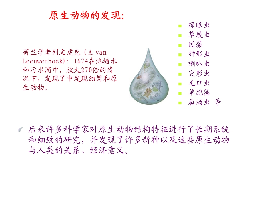 动物生物学33原生动物.ppt_第2页