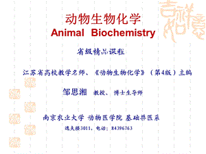 动物生物化学绪论.ppt