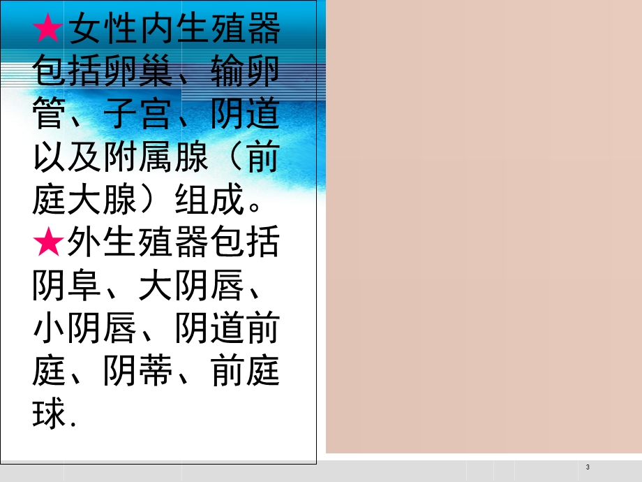 妇科肿瘤常见术式.ppt_第3页