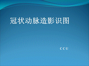 冠状动脉造影识图CCU.ppt