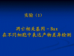 凋亡相关基因-Bax在不同细胞中表达产物差异检测.ppt