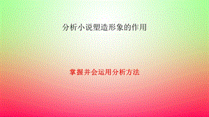 分析小说塑造形象的作用.ppt