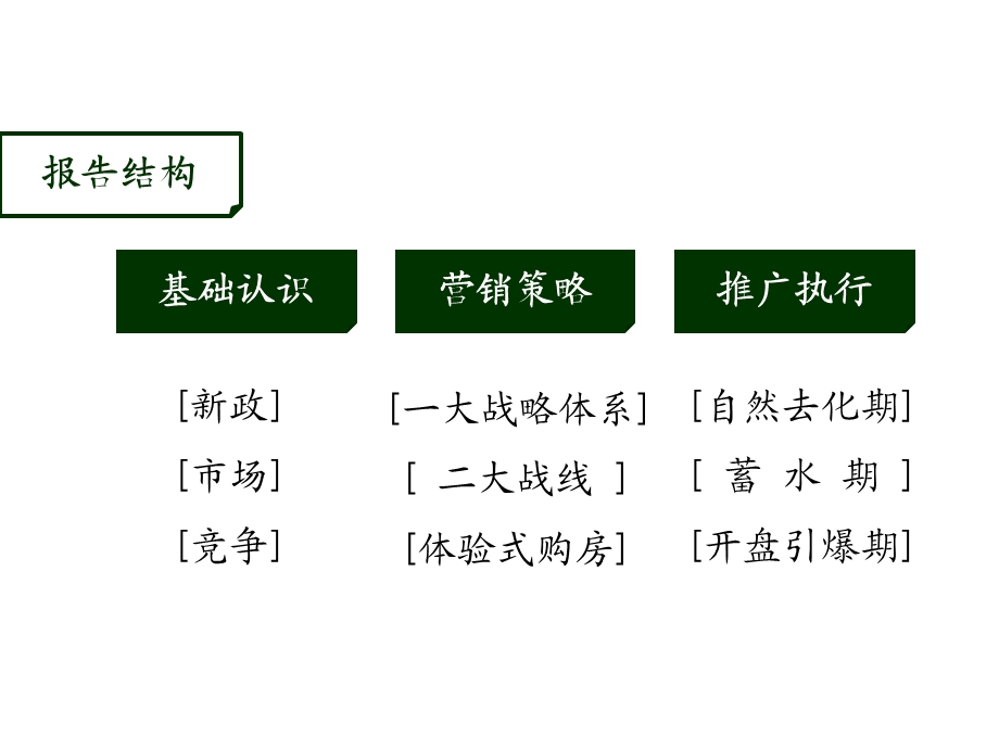 别墅超经典营销推广执行报告.ppt_第2页