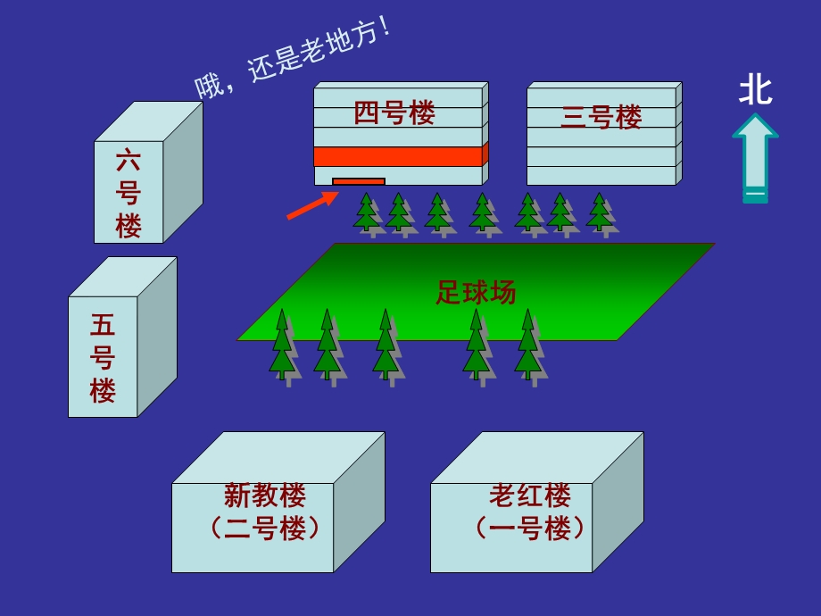 八、动物模型免疫缺陷动物.ppt_第3页