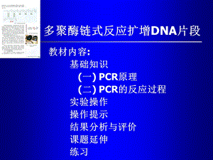 多聚酶链式反应(PCR).ppt