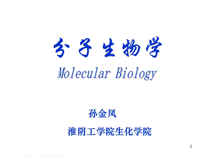 分子生物学复习全套.ppt