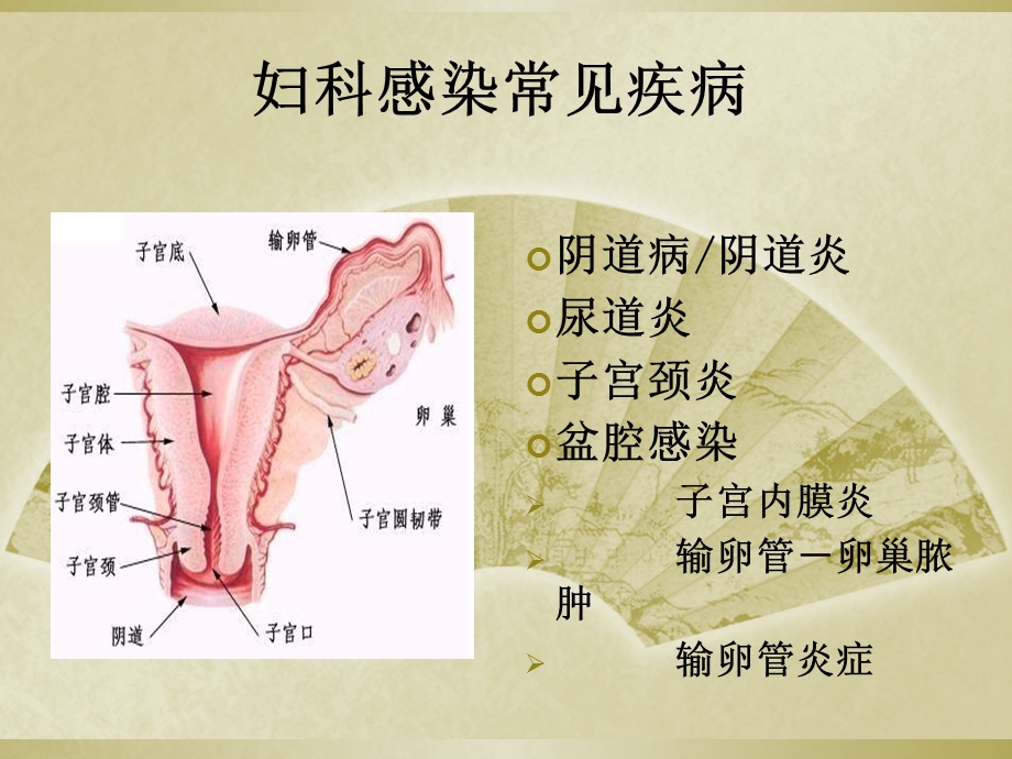 妇科感染常见病原菌及检测方法.ppt_第2页