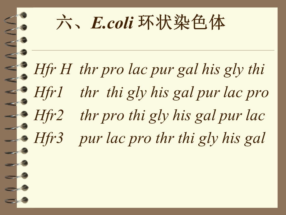 分子遗传学8细菌和噬菌体的遗传和重组B.ppt_第1页