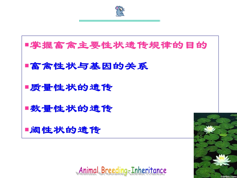 动物育种学-第三章-畜禽主要性状的遗传.ppt_第2页