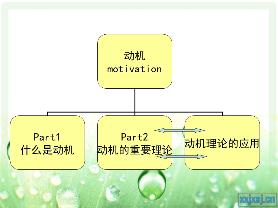 动机的内容理论.ppt_第2页