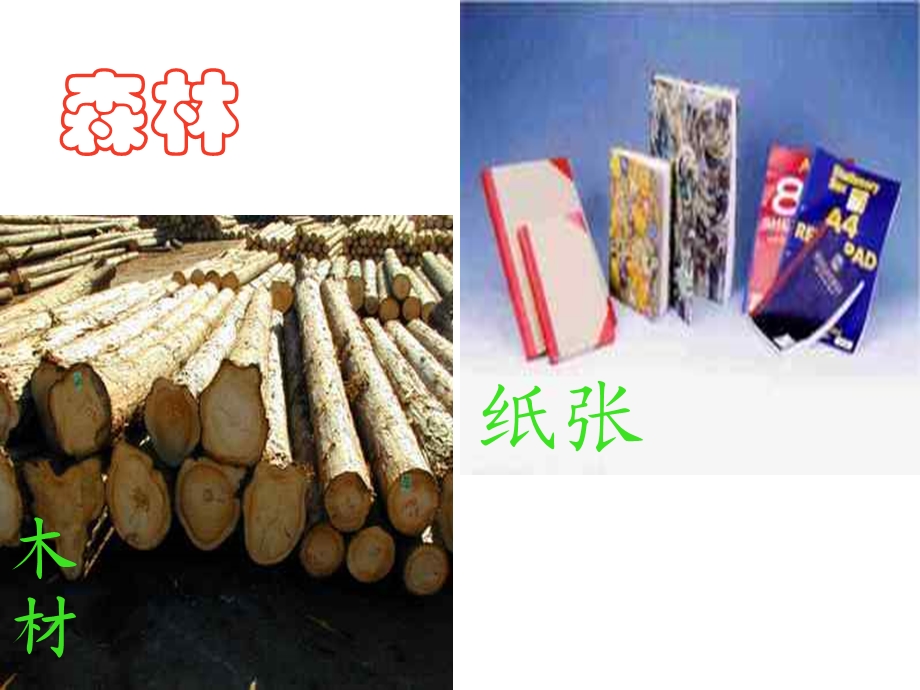 八年级地理上册：第三章第一节：自然资源的基本特征.ppt_第2页