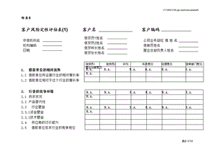 客户风险定性评估表.ppt