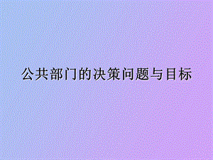 公共部门的决策问题与目标.ppt