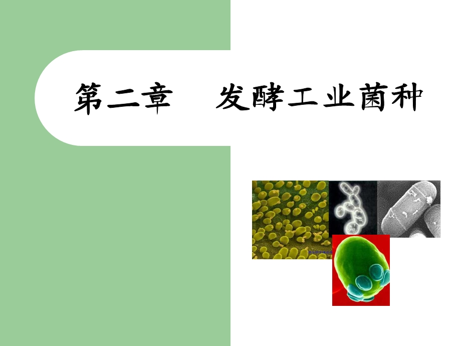 发酵工程第二章发酵工业菌种.ppt_第1页