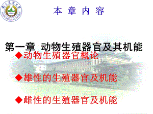 动物繁殖器官及其机能.ppt