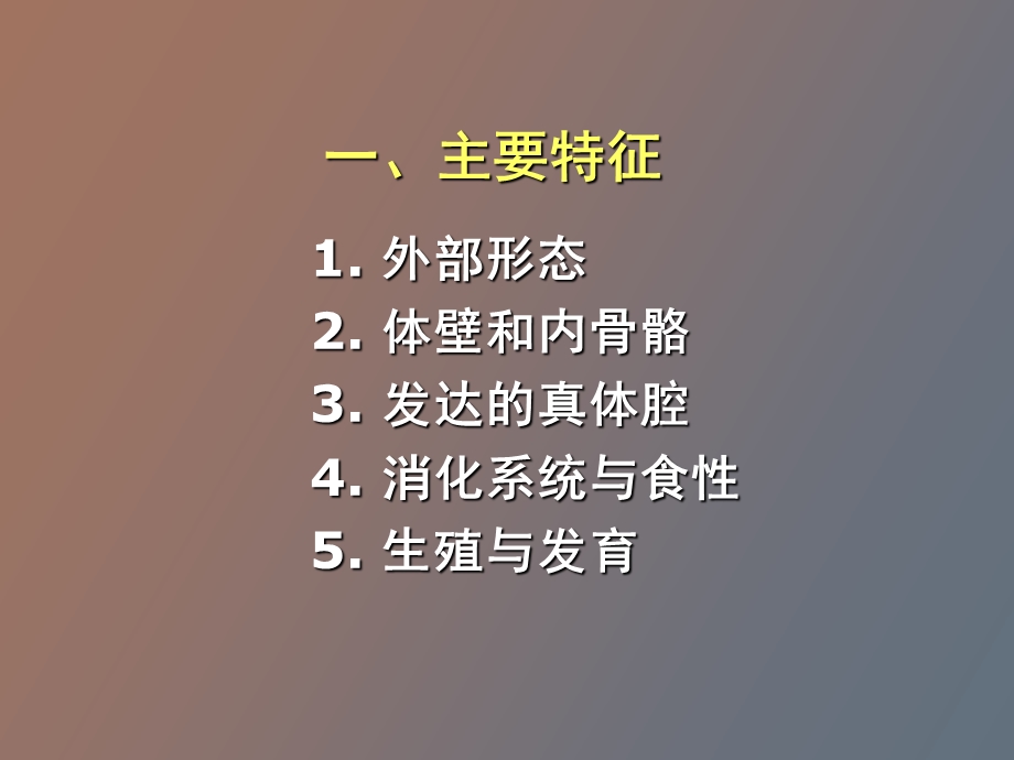 动物的类群棘皮动物门.ppt_第2页