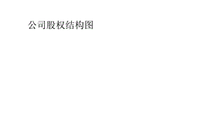 公司股权结构图.ppt