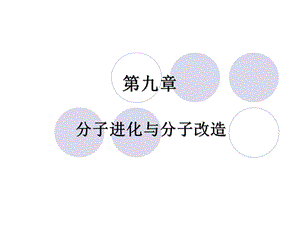 分子进化与分子改造.ppt