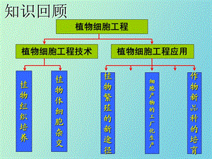 动物细胞培养和核移植技术苗.ppt