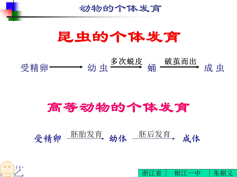 动物的个体发育教学课件.ppt_第1页