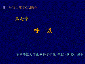 动物生理学呼吸2张铭.ppt