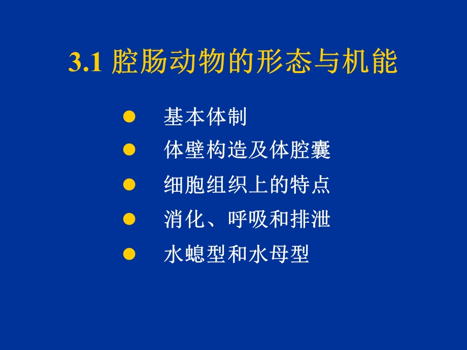 动物的类群腔肠扁形动物.ppt_第3页