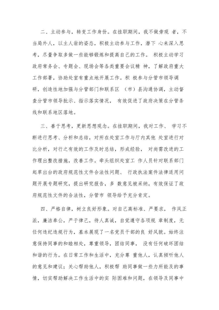 挂职干部个人工作总结.docx_第2页