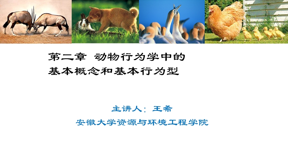 动物行为学中的基本概念和基本行为型.ppt_第1页