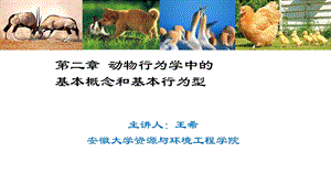 动物行为学中的基本概念和基本行为型.ppt