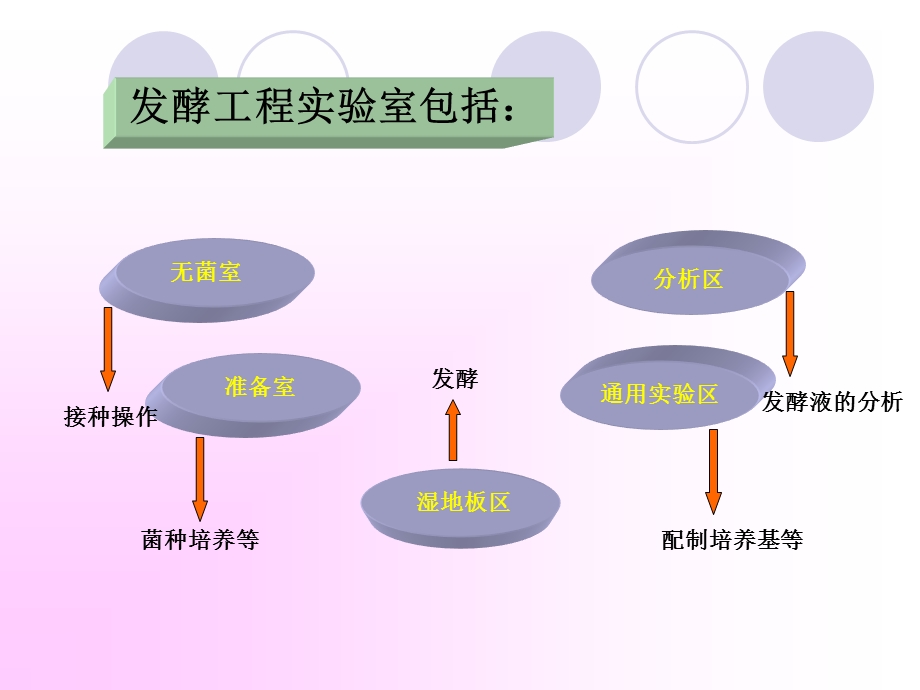 发酵工程课件第二章.ppt_第3页