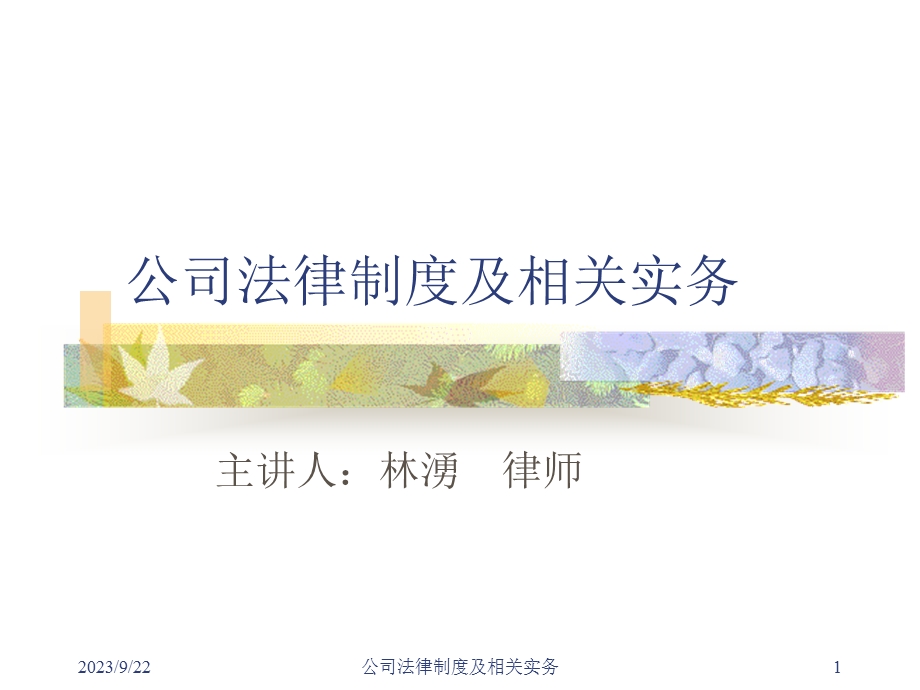 公司法律制度及相关实务(林涌).ppt_第1页