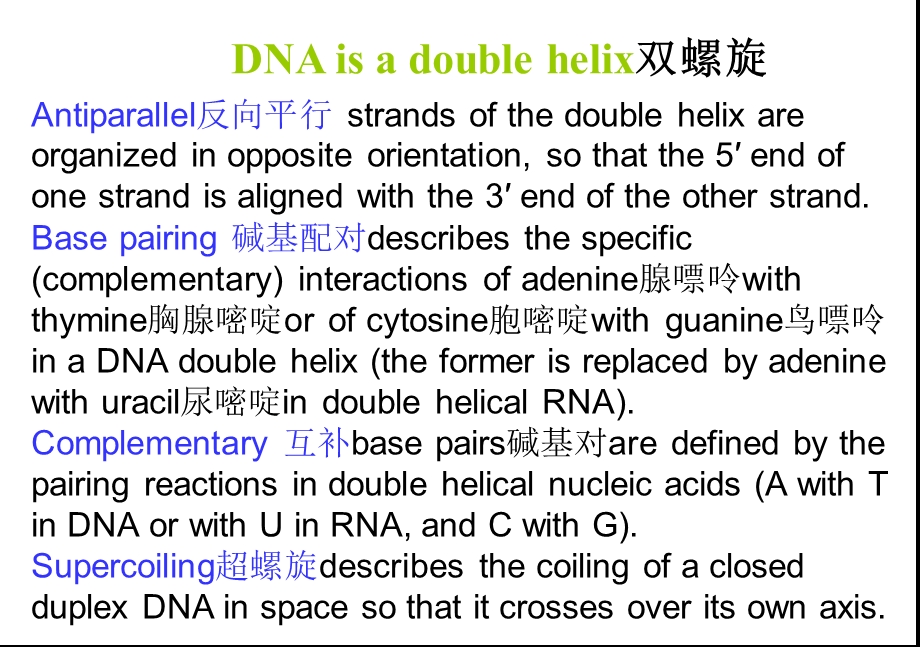 分子生物学第三章-DNA结构.ppt_第2页