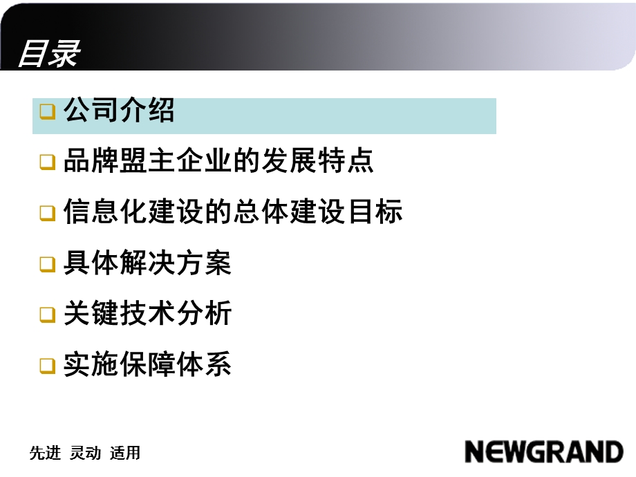 品牌盟主企业信息化解决方案.ppt_第2页