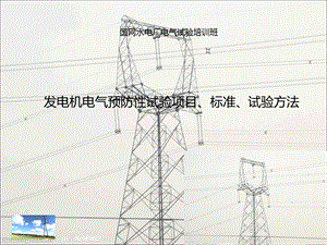 发电机电气预防性试验项目、标准、试验方法.ppt