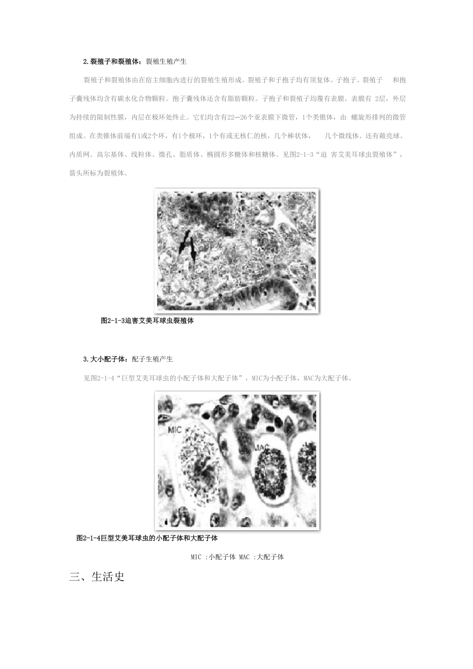 兽医寄生虫学第二章家禽的常见寄生虫病第一节鸡球虫病.docx_第3页