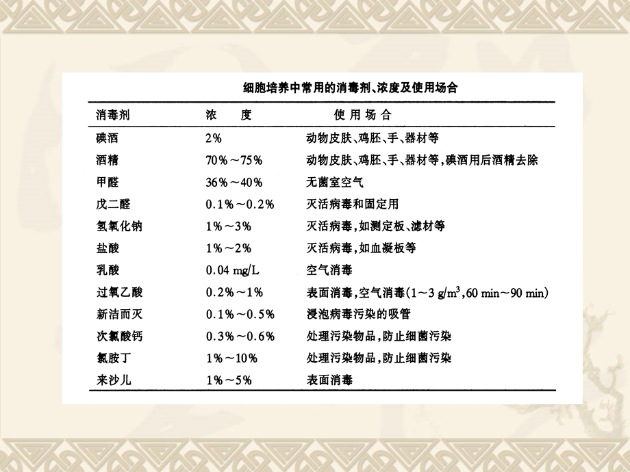 动物细胞培养所需的基本条件.ppt_第3页