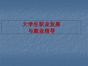 大学生职业素养提升.ppt