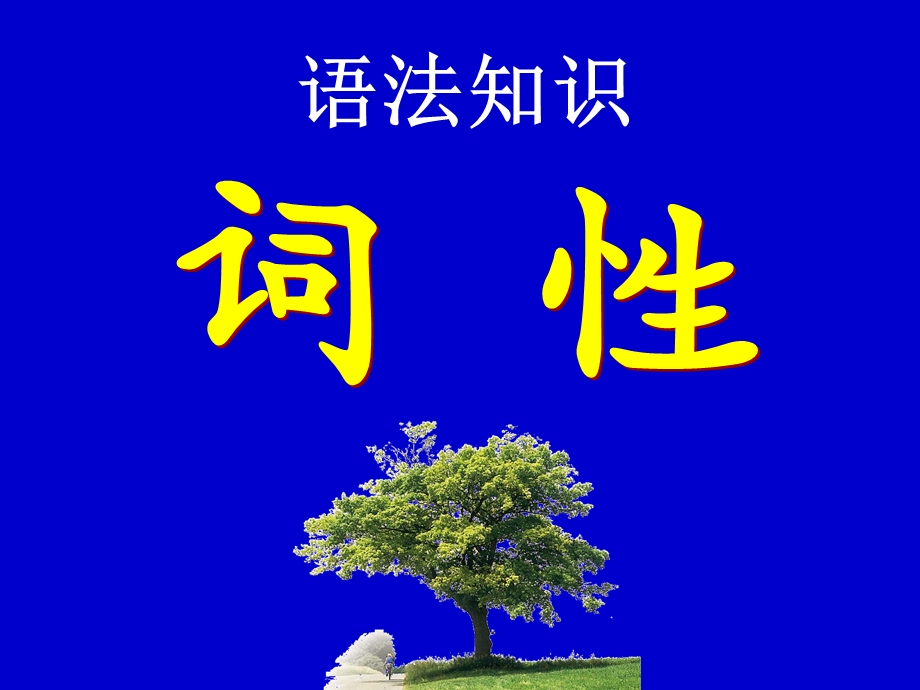 初中语文词性课件.ppt_第1页