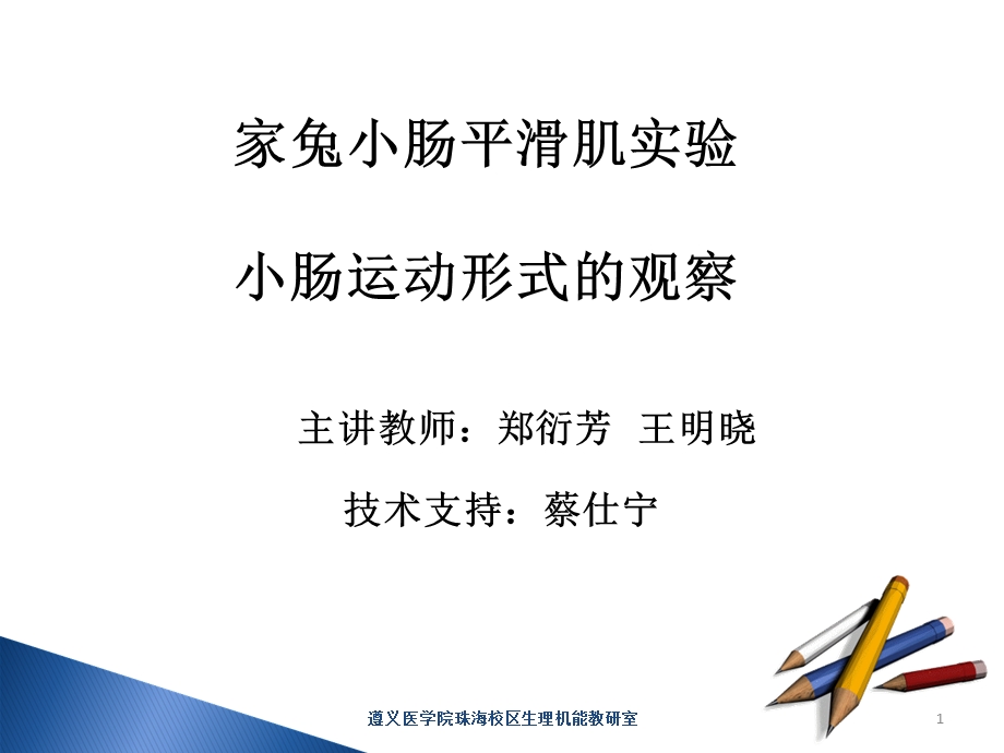 家兔小肠平滑肌实验小肠运动形式的.ppt_第1页